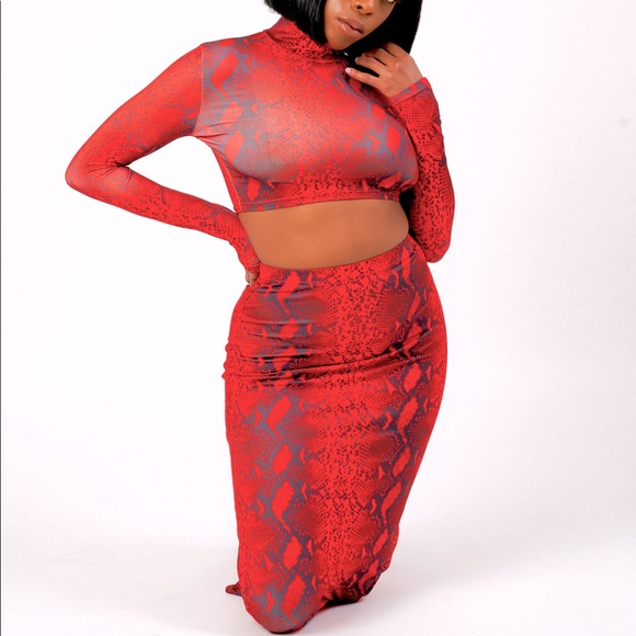 Dresses & Skirts - Red snake print two piece set